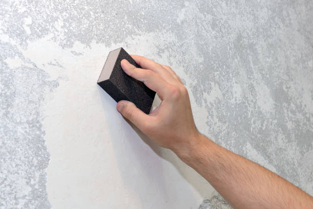 Best Mold Remediation for Healthcare Facilities  in Carle Place, NY