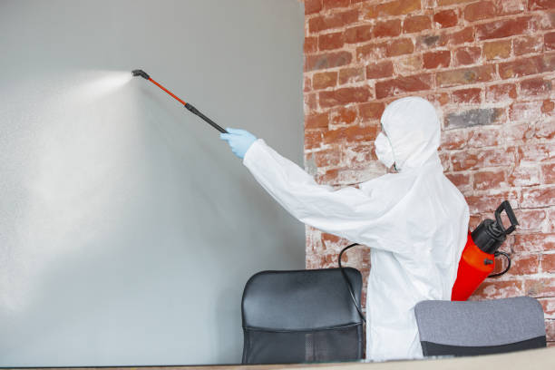 Best Airborne Mold Testing  in Carle Place, NY