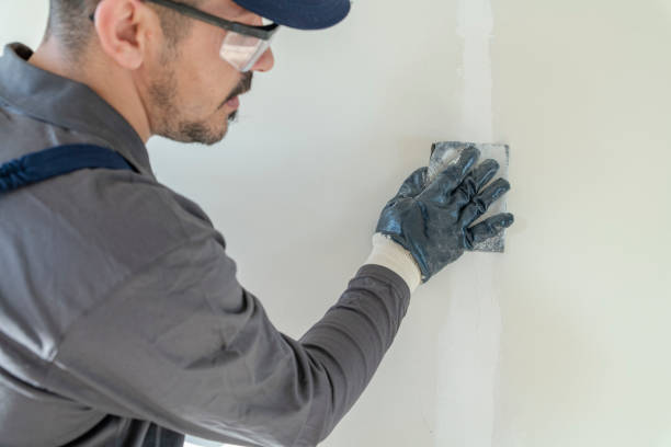 Best Industrial Mold Remediation  in Carle Place, NY