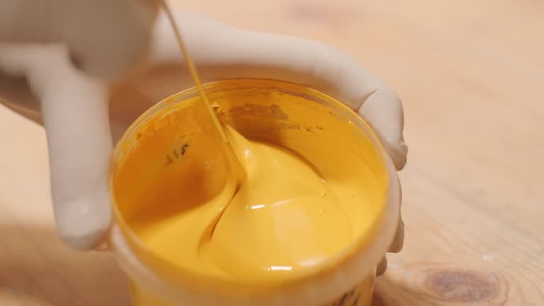 Reliable Carle Place, NY Mold Removal Solutions