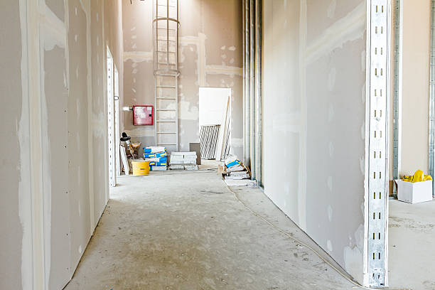 Best Asbestos and Lead Testing During Mold Inspection  in Carle Place, NY