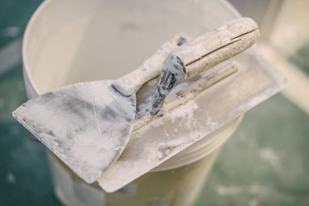 Best Mold Remediation for Healthcare Facilities  in Carle Place, NY